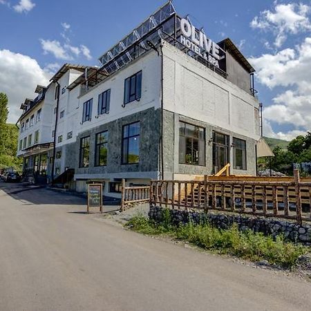 Olive Ala-Archa Hotel & Spa Verkhnyaya Alaarcha Eksteriør bilde